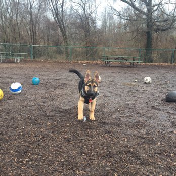 Ben Brenman Park - So many toys! - Playgrounds Near Me - Alexandria, Virginia