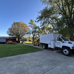 MRB Tree Service