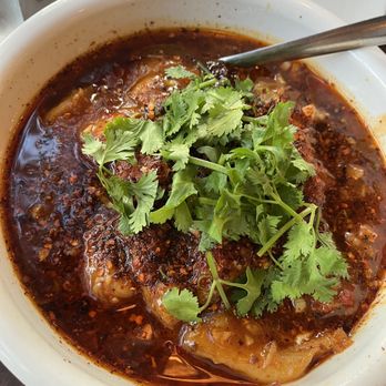 Cubist Circle - Szechuan Near Me - Brookline, Massachusetts