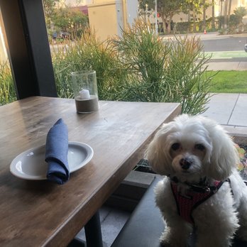 Sol Agave - Out door covered patio seating and service dog friendly - New Mexican Cuisine Near Me - Santa Monica, California Sol Agave - Out door covered patio seating and service dog friendly - New Mexican Cuisine Near Me - Santa Monica, California