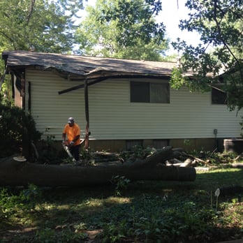 Ray's Tree Service - Cutting up the tree up per our request for firewood. - Tree Services Near Me - Fenton, Missouri Ray's Tree Service - Cutting up the tree up per our request for firewood. - Tree Services Near Me - Fenton, Missouri