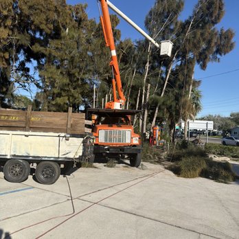 Tyler’s Tree Trimming - Tree Services Near Me Tyler’s Tree Trimming - Tree Services Near Me