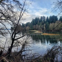 Tolmie State Park