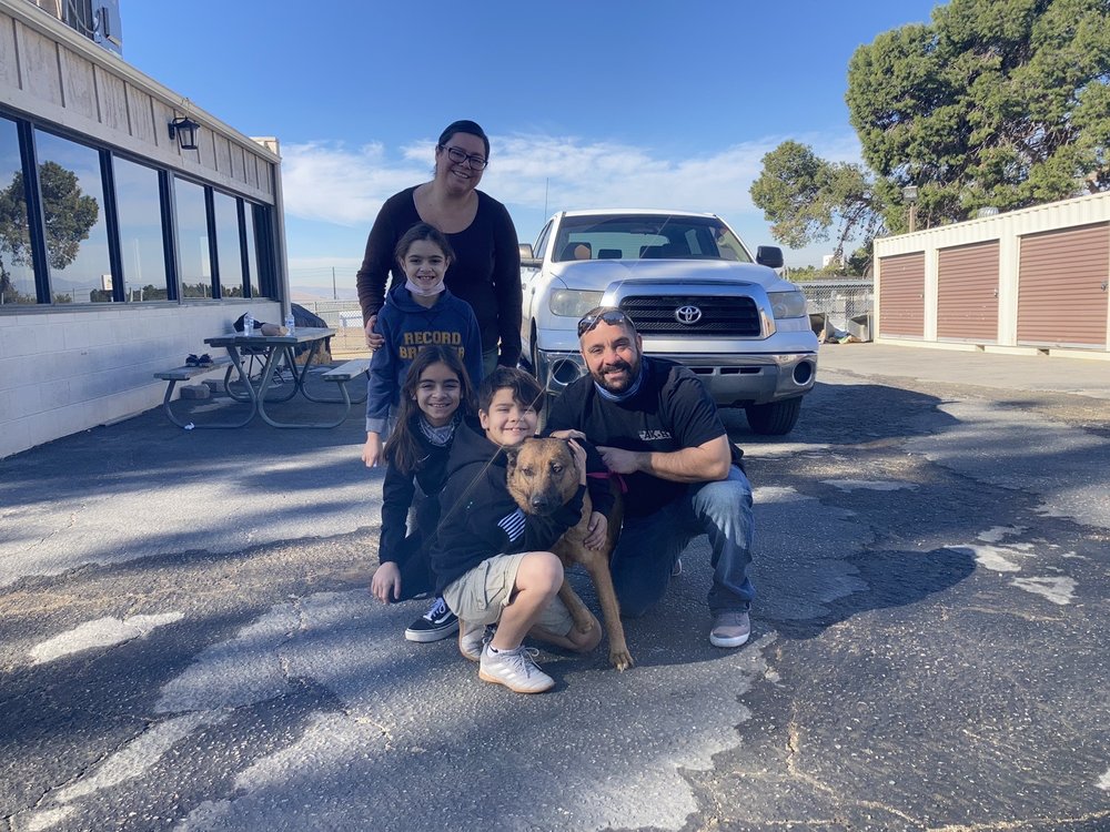 NORCO ANIMAL CONTROL SHELTER Updated May 2024 11 Photos & 41