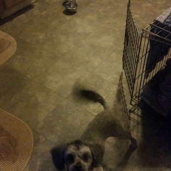 PetSmart - Pet Stores Near Me - Schererville, Indiana