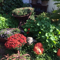 Pumpkins Etc.
