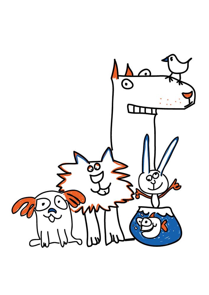 PET CENTRAL SHIRLEY Updated July 2024 199 Marshlands Rd