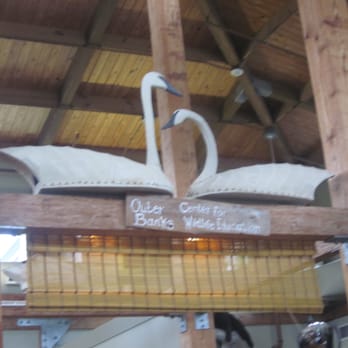 Outer Banks Center For Wildlife Education - In the lobby - Landmarks & Historical Buildings Near Me - Corolla, North Carolina