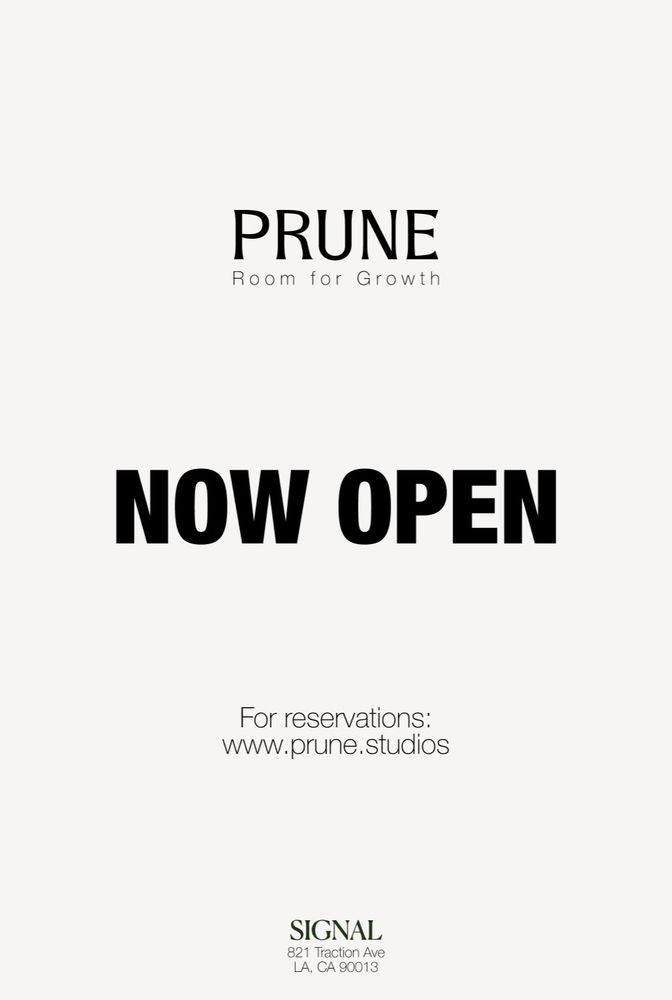 Prune Studio Logo