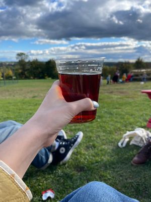 Warwick Farm Brewing by null