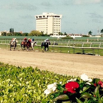 Gulfstream Park - Casinos Near Me - Hallandale Beach, Florida