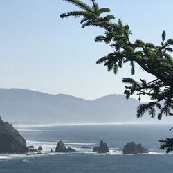 Cape Meares Beach