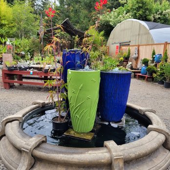 Hughes Water Gardens - 8/22/2021 - Nurseries & Gardening Near Me - Tualatin, Oregon