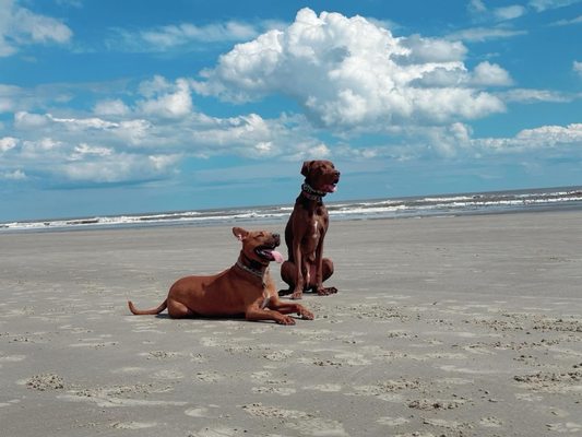 Kiawah Beachwalker Park by null