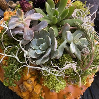 Boho Bouquets - Floral Designers Near Me - Reno, Nevada Boho Bouquets - Floral Designers Near Me - Reno, Nevada