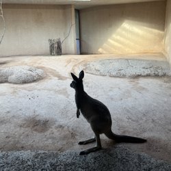Zoo Basel