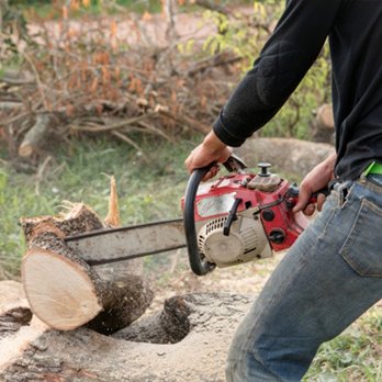 Lucas Tree Service - Tree service in Cambridge, OH & Local areas - Tree Services Near Me - Cambridge, Ohio Lucas Tree Service - Tree service in Cambridge, OH & Local areas - Tree Services Near Me - Cambridge, Ohio