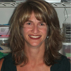 Adams Electrolysis