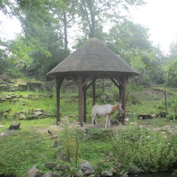 Artis - Zoos Near Me - Amsterdam, New Hampshire