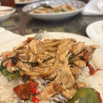 Papaya Thai - Basil chicken was delicious - Thai Near Me - Newark, California