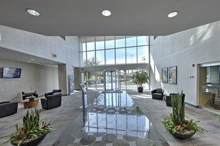 Hamideh Law Firm - disability attorney in Richardson, TX