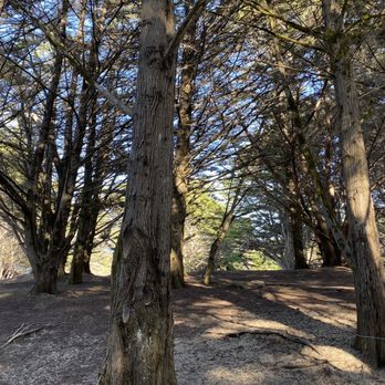 Bodega Dunes Campgrounds - Campgrounds Near Me - Bodega Bay, California Bodega Dunes Campgrounds - Campgrounds Near Me - Bodega Bay, California