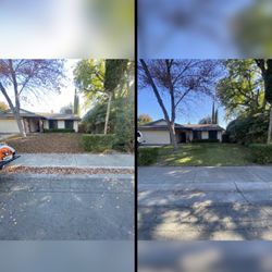Rodriguez Lawn Care Services - Before and after leaf removal