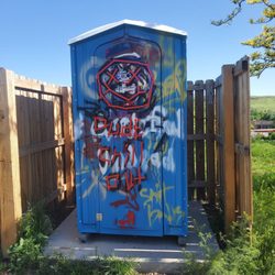 Ulysses Park - Don't let the artwork fool you... this port-a-potty was surprisingly cleaner than most.