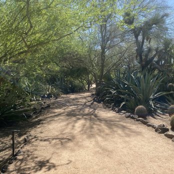 Desert Botanical Garden - Botanical Gardens Near Me - Phoenix, Arizona Desert Botanical Garden - Botanical Gardens Near Me - Phoenix, Arizona