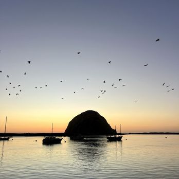 The Dutchie - Seafood Near Me - Morro Bay, California