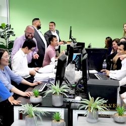 Silver Peacock Accountants & Tax Advisors - Meet our Team
