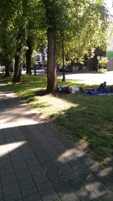 North Park Blocks by null