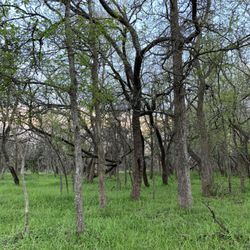 Forrest Creek Ranch and Lodge - Ranch area