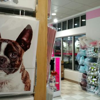 Daiso - Cards - Department Stores Near Me - Alameda, California Daiso - Cards - Department Stores Near Me - Alameda, California