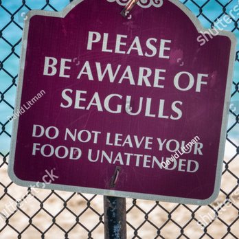 Orange Inn - We were warned...! - Breakfast & Brunch Near Me - Laguna Beach, California Orange Inn - We were warned...! - Breakfast & Brunch Near Me - Laguna Beach, California