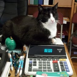 SStar Services - If I cannot come up with the right answer, Socks will!