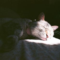 World Photo - Developed and scanned.