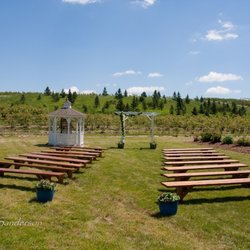 Rose's Berry Farm - Rose's Berry Farm