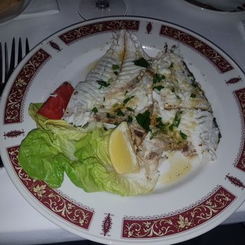 Restaurant Bellini - Orata (Goldbrasse) - Seafood Near Me - Vienna, 9