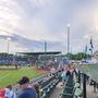 Photo of Madison Mallards