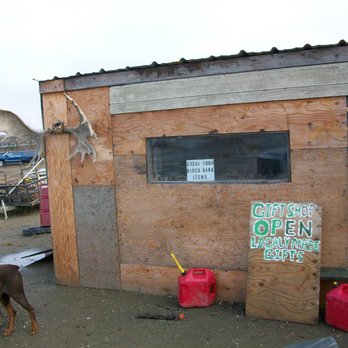 1st Alaska Tours - No Thanks! Keep your wolf pelts to yourself! - Tours Near Me - Fairbanks, Alaska