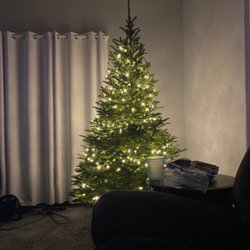 Lost Forty Tree Farm - Not finished decorating!! Look how beautiful!!