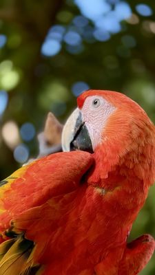 Wildlife World Zoo, Aquarium & Safari Park by null