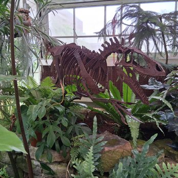 UNC Charlotte Botanical Gardens - Clever girl - Botanical Gardens Near Me - Charlotte, North Carolina