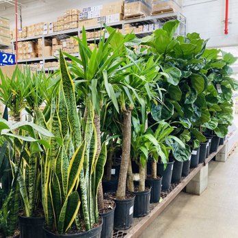 Lowe's Home Improvement - 11/07/21 - Home Decor Near Me - Upland, California