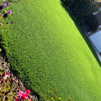 Verdigrass - Completed project in Redwood Shore - Artificial Turf Near Me - Sunnyvale, California Verdigrass - Completed project in Redwood Shore - Artificial Turf Near Me - Sunnyvale, California
