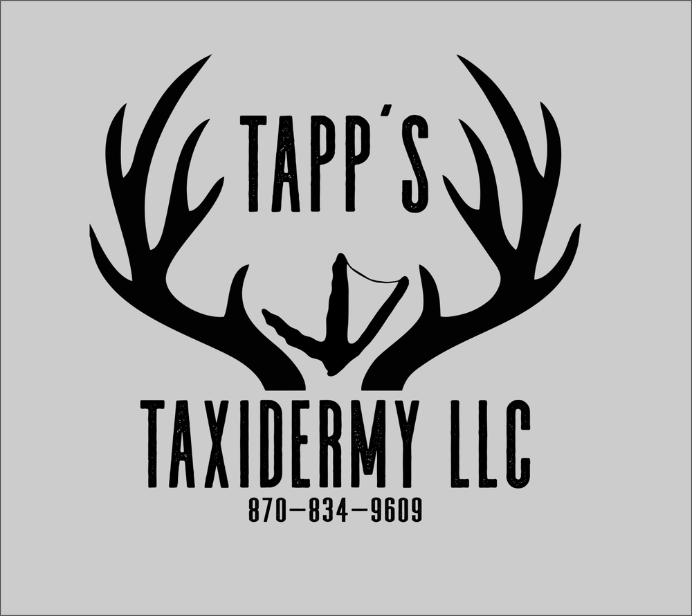 Tapp's Taxidermy - taxidermy in Batesville, AR