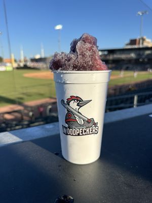 Segra Stadium by null