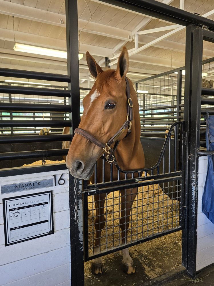 Ash Hill Farm - equestrian in San Diego, CA