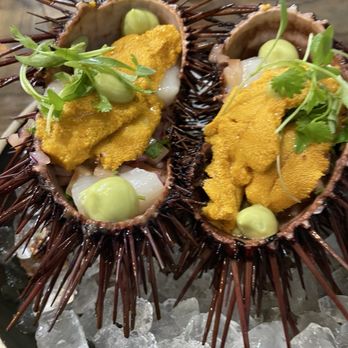 Holbox - Scallop Uni Ceviche - Latin American Near Me - Los Angeles, California Holbox - Scallop Uni Ceviche - Latin American Near Me - Los Angeles, California